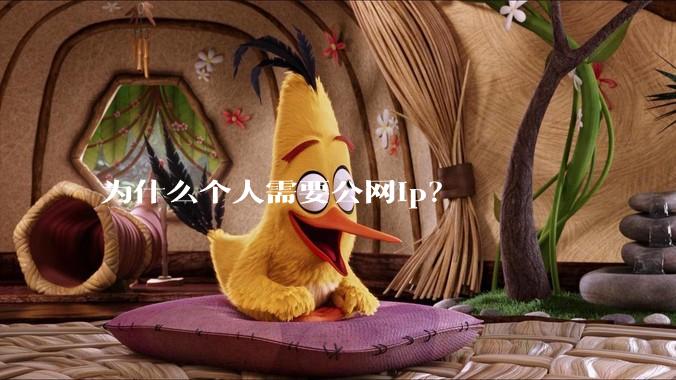为什么个人需要公网ip？