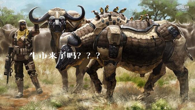 牛市来了吗？？？